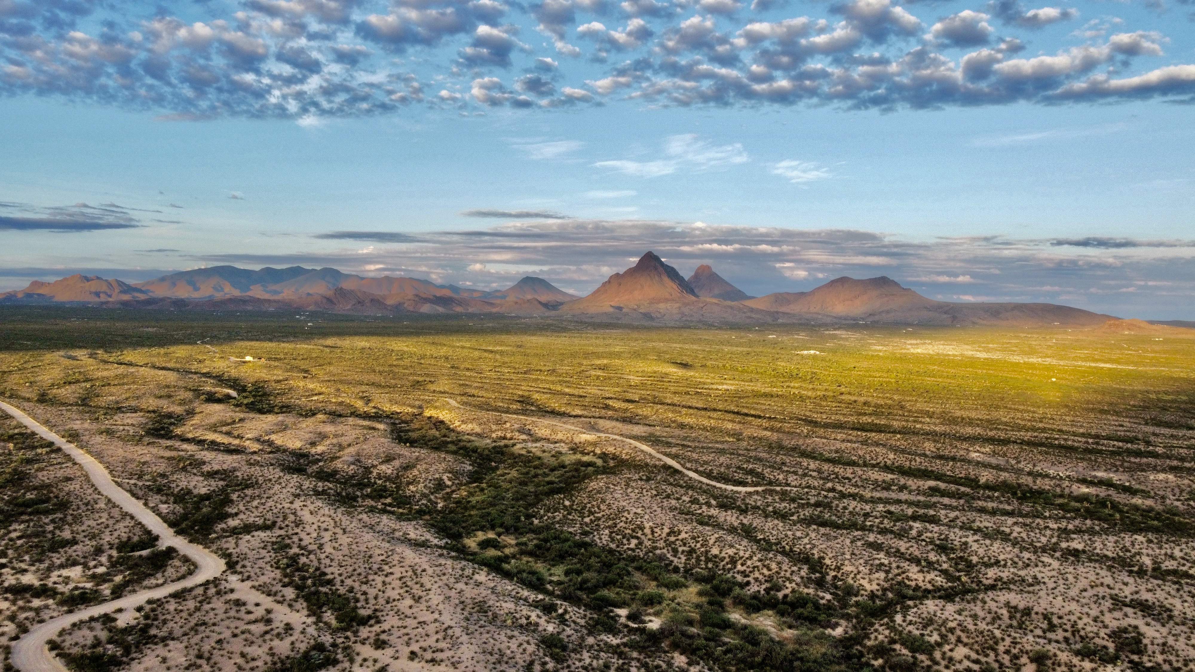Dirt road through desert country near Longhorn Safari